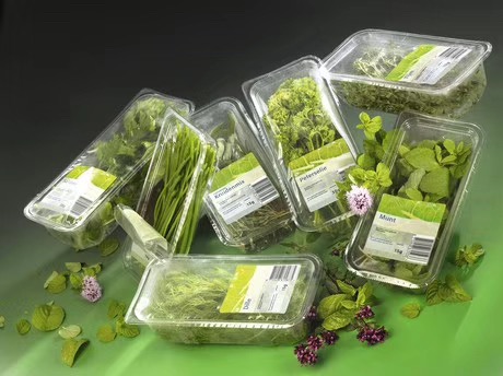 1618473511416175.jpg 7534522029168102.jpg